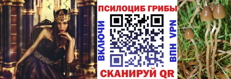 Псилоцибиновые грибы Cubensis KRAKEN маркетплейс Суворов